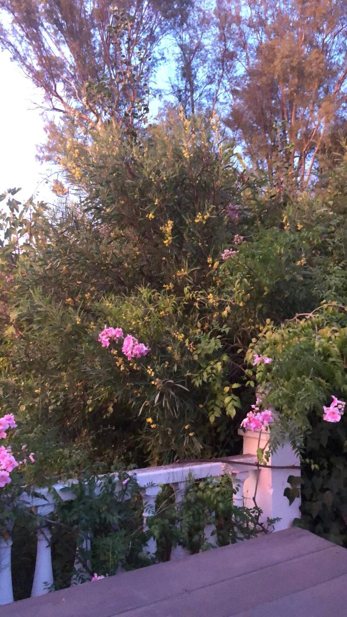 Finca El Rio,, La Casita One Of 2 Self Catering Studios. Pool And Hydrotherapy Jacuzzi Málaga Exterior foto