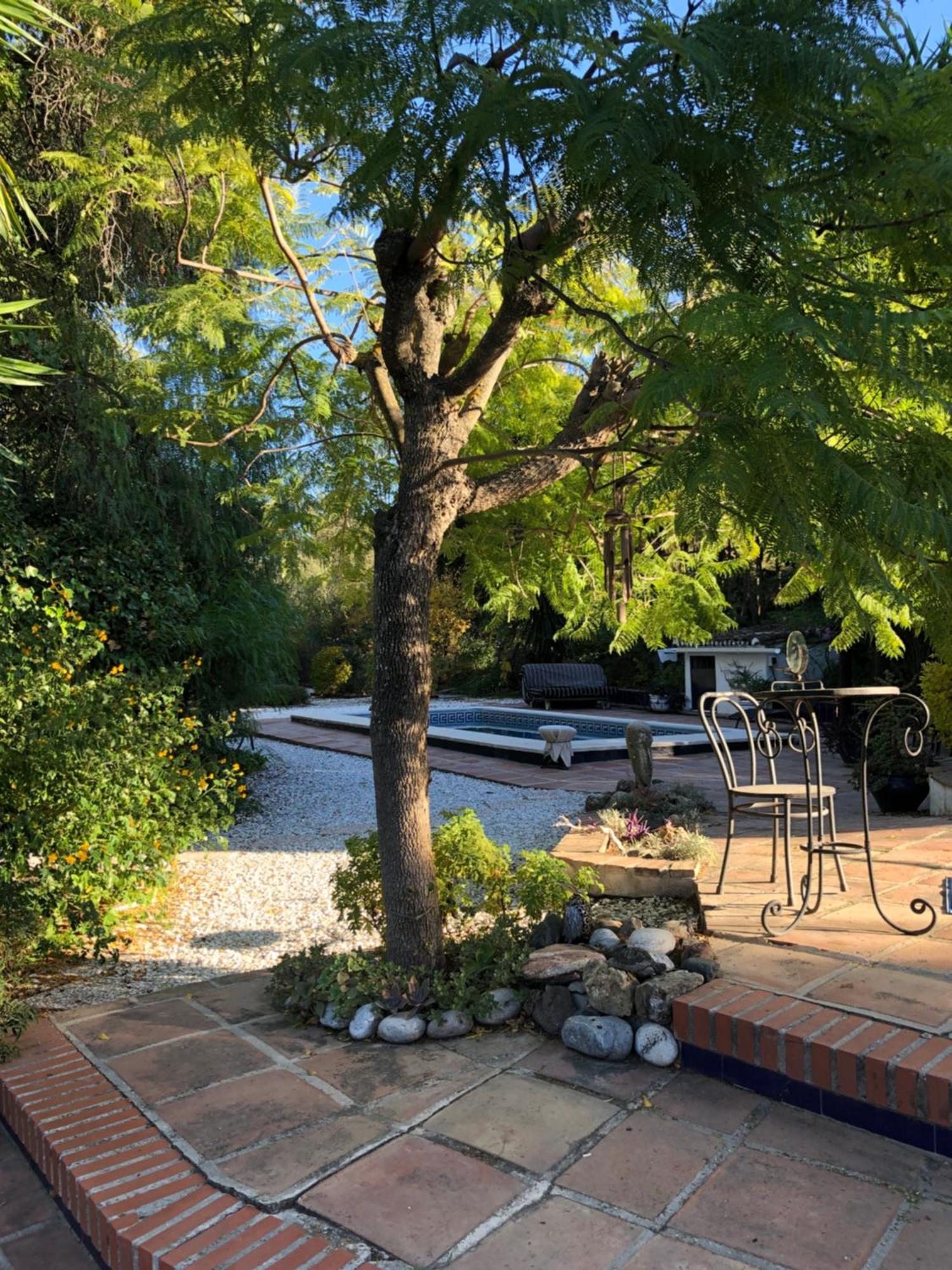 Finca El Rio,, La Casita One Of 2 Self Catering Studios. Pool And Hydrotherapy Jacuzzi Málaga Exterior foto